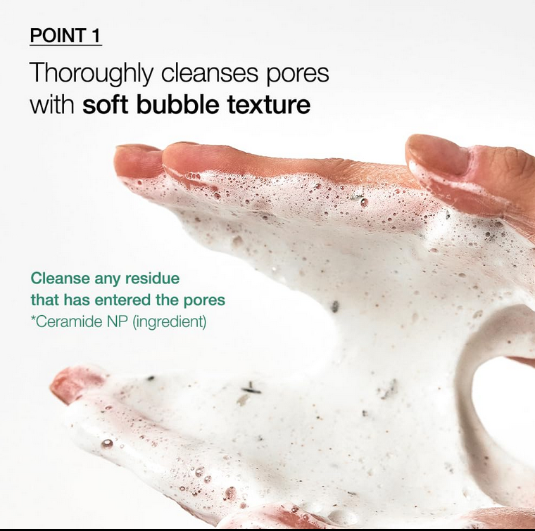 Anua Quercetinol Pore Cleanser